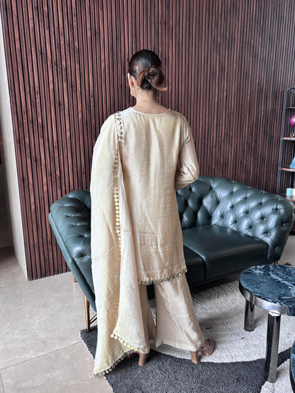 BEIGE KNEE LENGTH SUIT SET